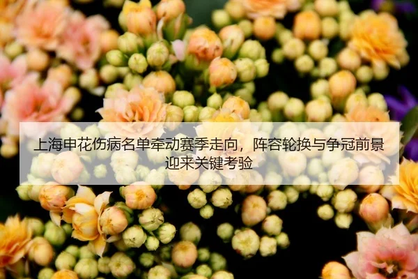 shang-hai-shen-hua-shang-bing-ming-dan-qian-dong-sai-ji-zou-xiang-zhen-rong-lun-huan-yu-zheng-guan-qian-jing-ying-lai-2-550.jpg